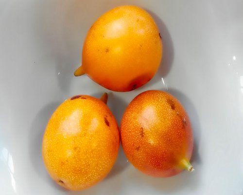 Close up of fresh lulo fruits