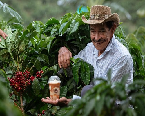 Busy Colombian farmer's market with colorful produce stalls and local buyers